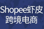 虾皮电商好做吗(虾皮跨境电商怎么样,好做吗)