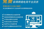 五冶电商平台(中国五冶电商平台)