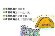 农村电商打造(农村电商打造农产品品牌)