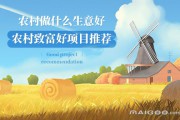 挣钱项目(赚钱项目资源网)