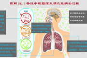 pm是什么(pm是什么意思啊)