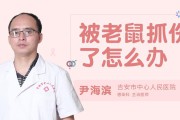 老鼠怎么治(怎么灭老鼠最有效的方法)