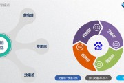 搜索营销(搜索营销中会产生什么等量化指标)
