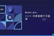 抖音营销策划公司(抖音双十一营销策划方案)
