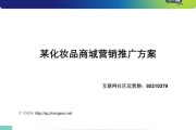 综合商城推广(商城推广送平板)