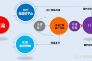 网络推广策略(腊肉网络推广策略)
