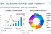 垮境电商正品低价(跨境电商有哪些平台)