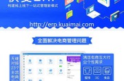 电商erp管理软件(erp电子商务管理软件)