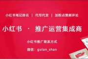 小红书怎么经营(小红书店铺怎么运营)
