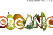 什么产品适合做电商(做电商做什么产品比较有前景)