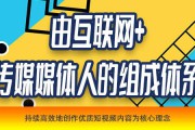 短视频项目评估(短视频内容质量评估)