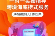 新加坡虾皮电商(新加坡虾皮电商公司招聘)