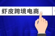 虾皮电商(虾皮电商真的能赚钱吗)