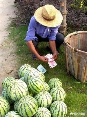 电商入农村,如何利用农村电商赚钱?