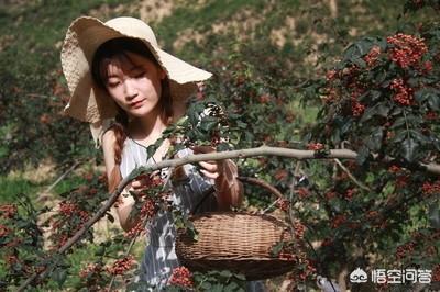 电商入农村,如何利用农村电商赚钱?