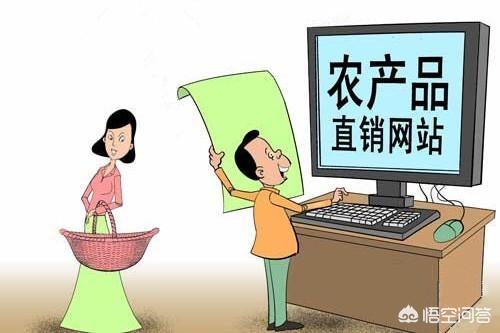 怎样在乡村搭建电商平台?