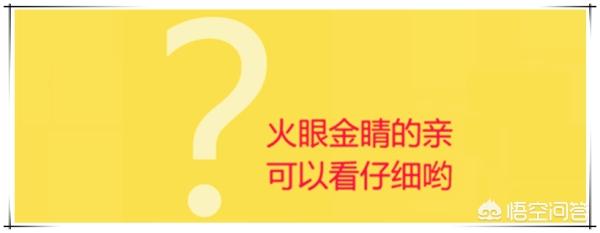 重庆天琥教育电商设计培训机构靠谱吗?
