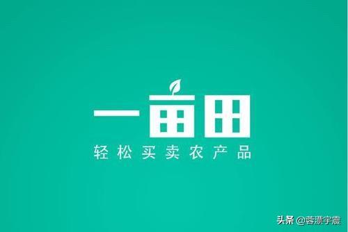 现在哪个平台的电商适合个人开店?