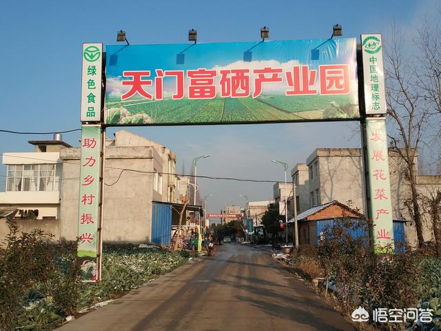 农产品电商,哪些平台入手快?