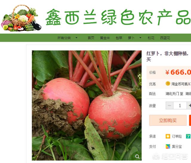 怎么样做好电商呢?