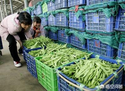 怎么样做好电商呢?