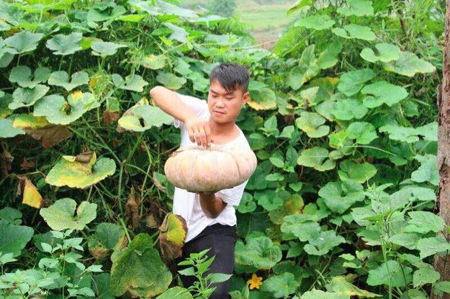 那个火山小视频的网红四川金牛TV现在怎么样了?