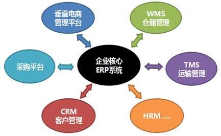 什么是电子商务专业，未来就业有哪些方向？