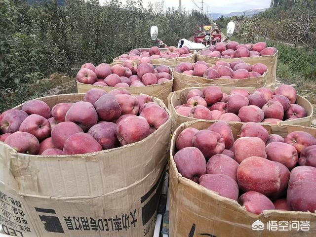 对于农村电商扶贫，你有什么好建议？