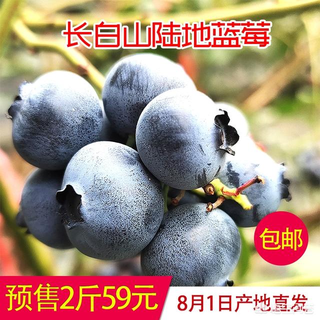农业电商平台的农产品，水果之类的你会买吗？