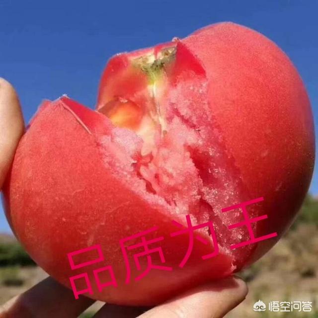 农产品电商如何做好品牌推广？