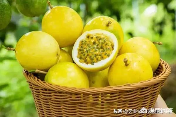 在农村做农业电商，和当地政府支持的一村一品配合着做，有什么好处？