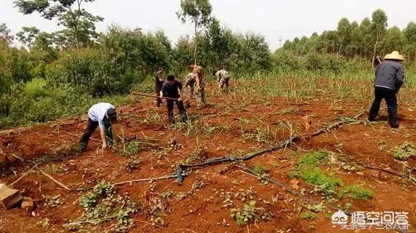 在农村做农业电商，和当地政府支持的一村一品配合着做，有什么好处？