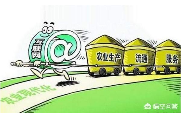 电商专业毕业，在广州适合找哪些工作？