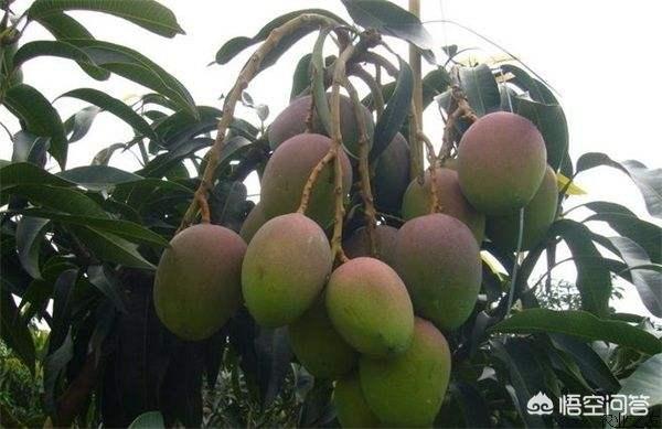 农村电商给农民带来了什么好处？