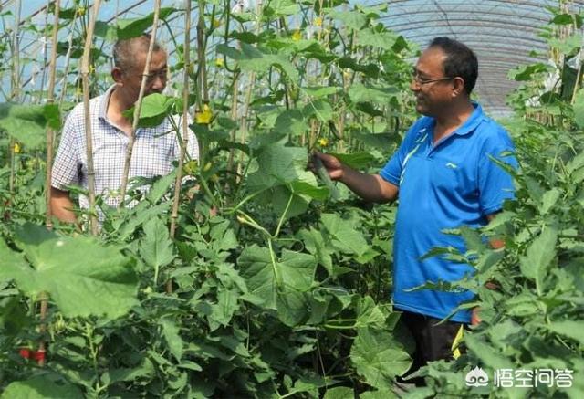 农村电商给农民带来了什么好处？