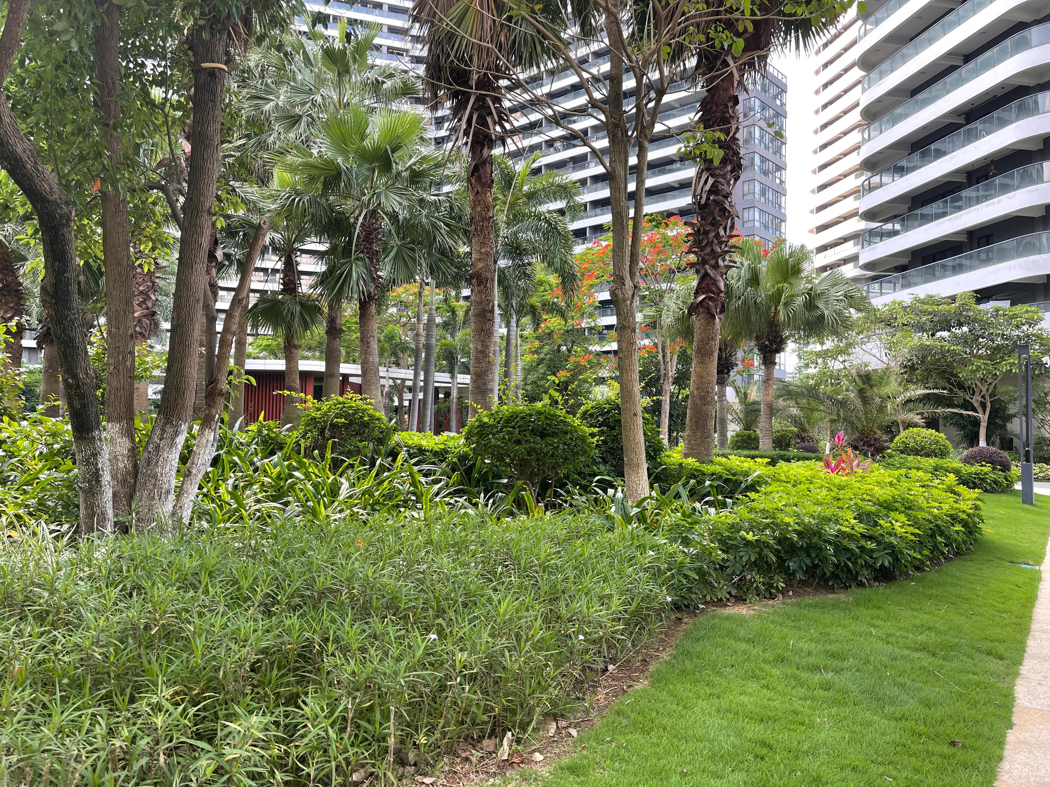 疫情期间,跟着自媒体人视频旅行,省腿,省钱,省心