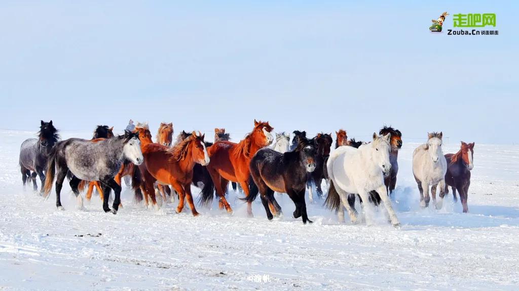 因为热爱,他选择了旅游自媒体,磨炼成全平台超5亿阅读量的达人
