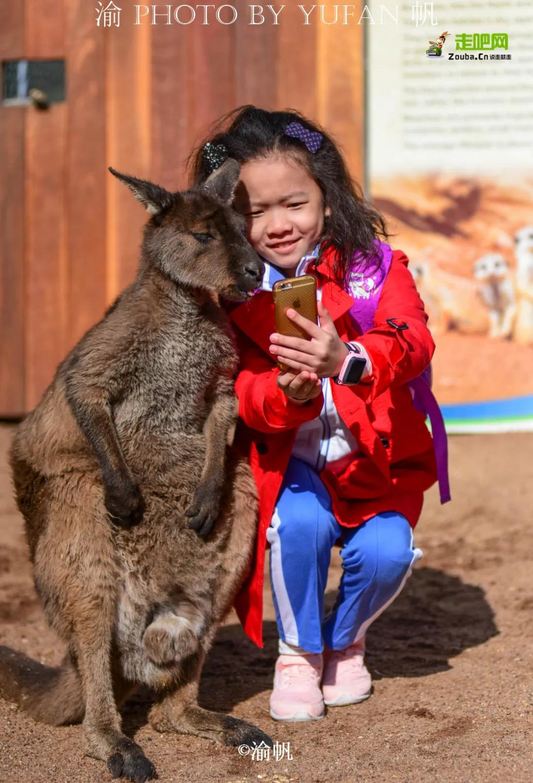 因为热爱,他选择了旅游自媒体,磨炼成全平台超5亿阅读量的达人