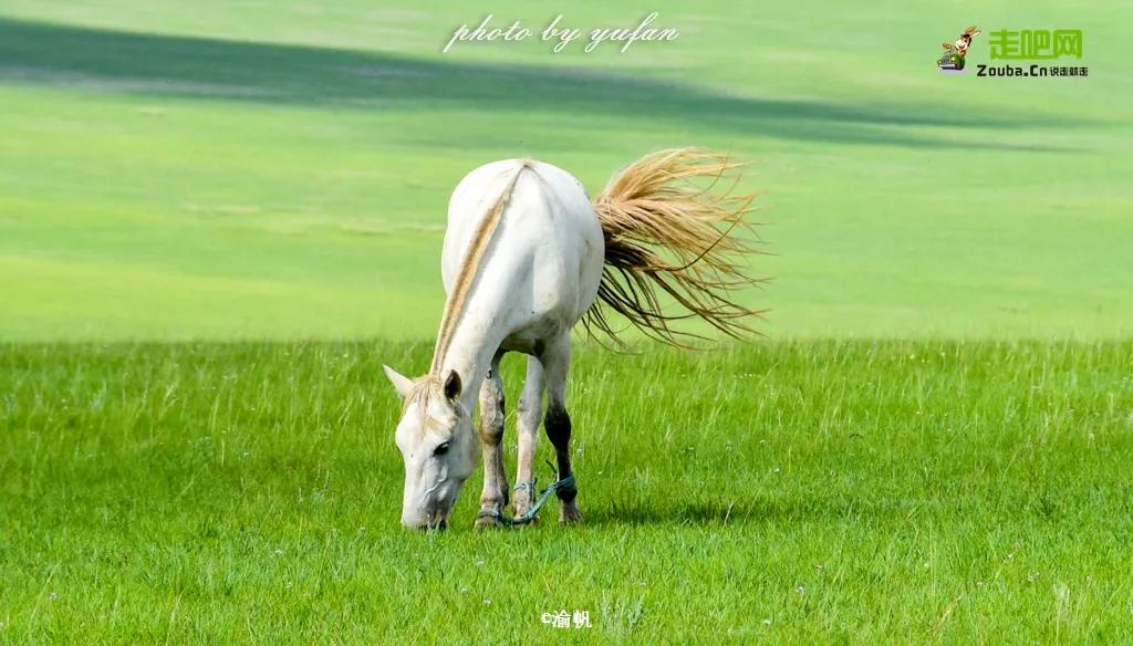 因为热爱,他选择了旅游自媒体,磨炼成全平台超5亿阅读量的达人