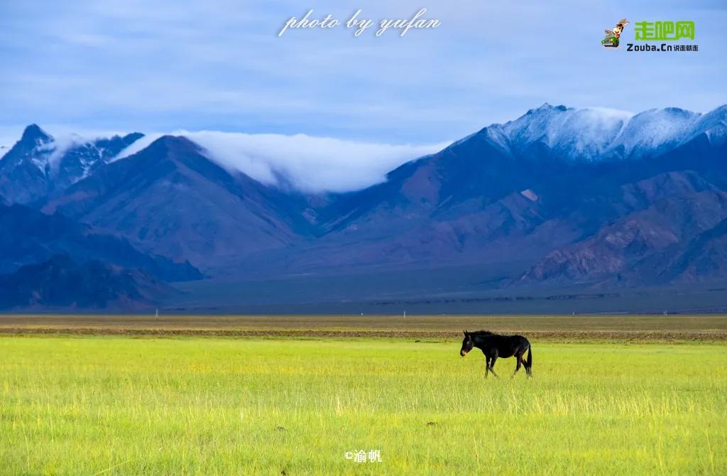 因为热爱,他选择了旅游自媒体,磨炼成全平台超5亿阅读量的达人