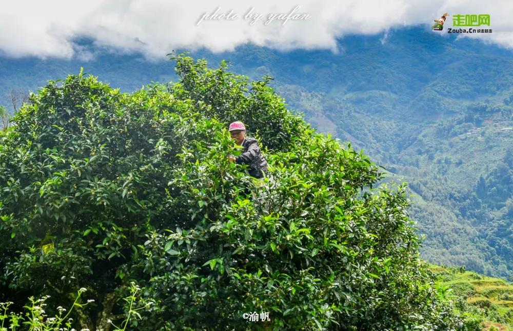 因为热爱,他选择了旅游自媒体,磨炼成全平台超5亿阅读量的达人