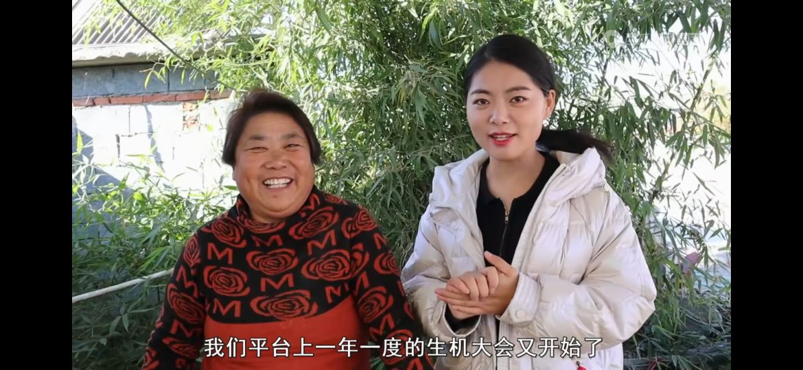 乡村小乔拍视频做自媒体一年收益如何呢？