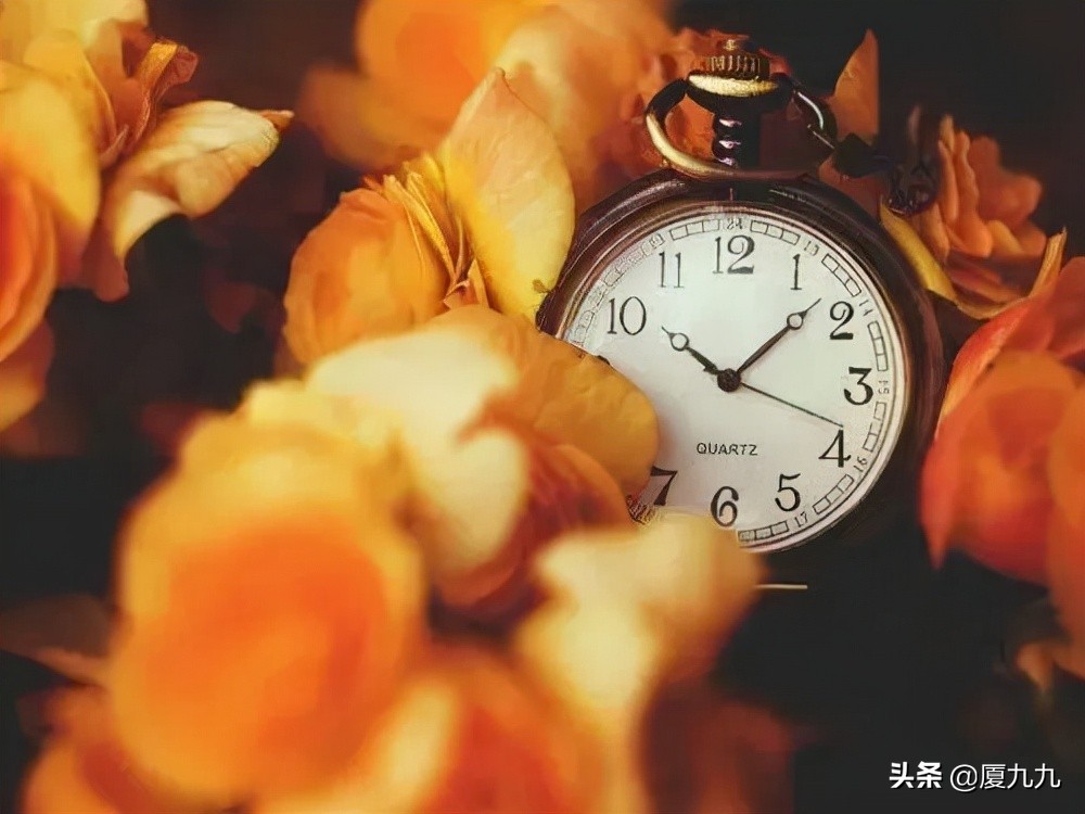 如何从0开始做小红书?一次性给你讲透彻