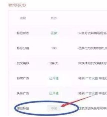 怎样开通头条原创功能呢？想要长期做自媒体的可以学习了