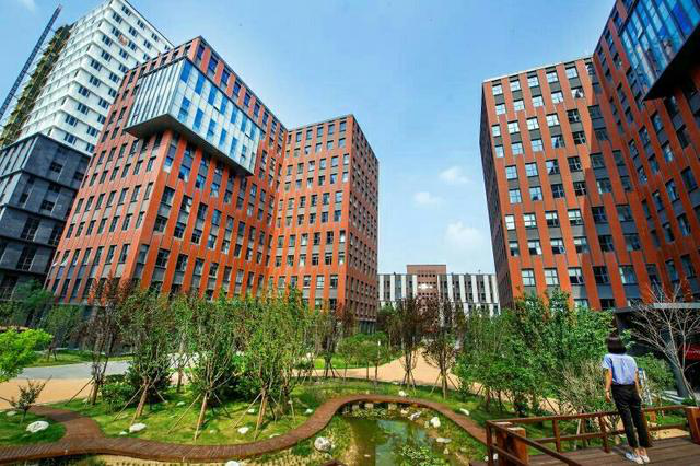 厦门自媒体商业博览会走进西部云谷,融通陆上海上丝绸之路