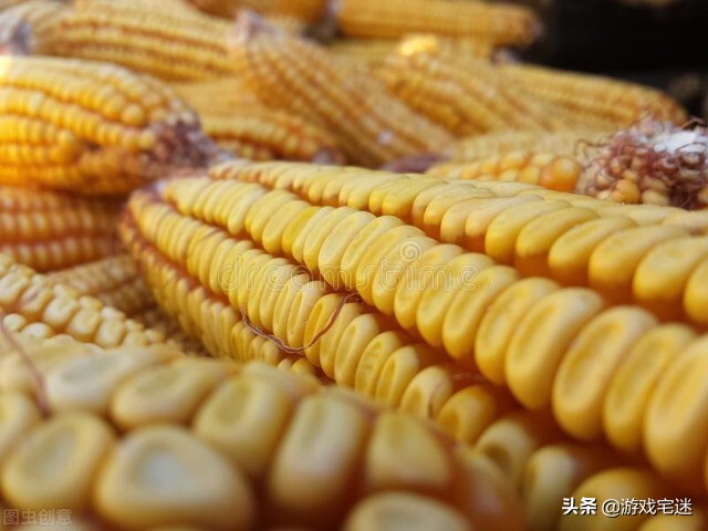 在农村做自媒体,你可以这样拍