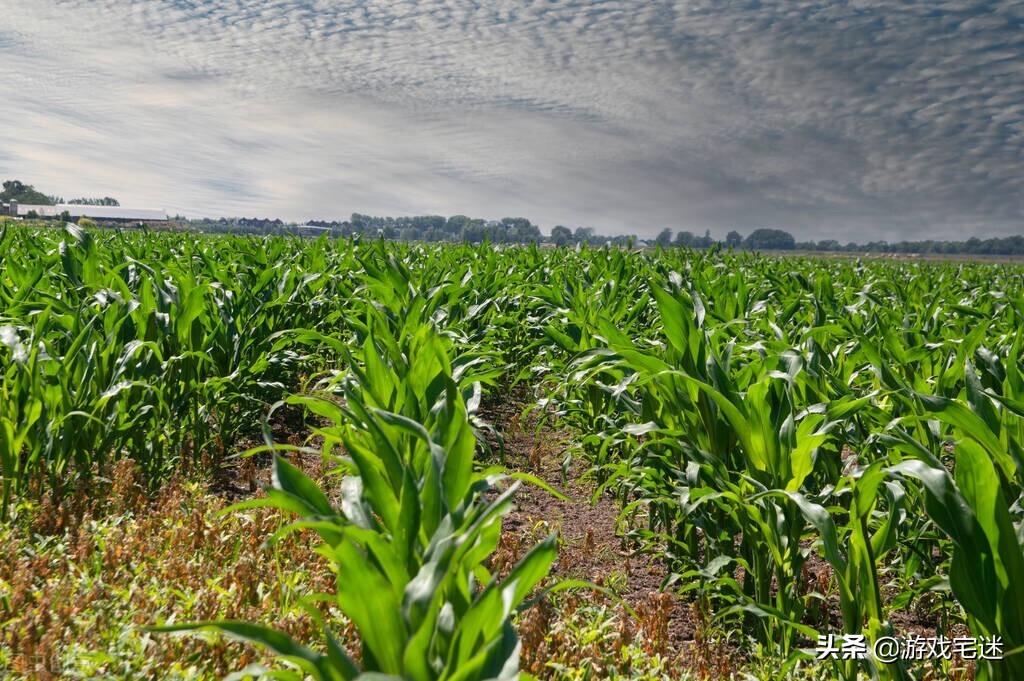 在农村做自媒体,你可以这样拍