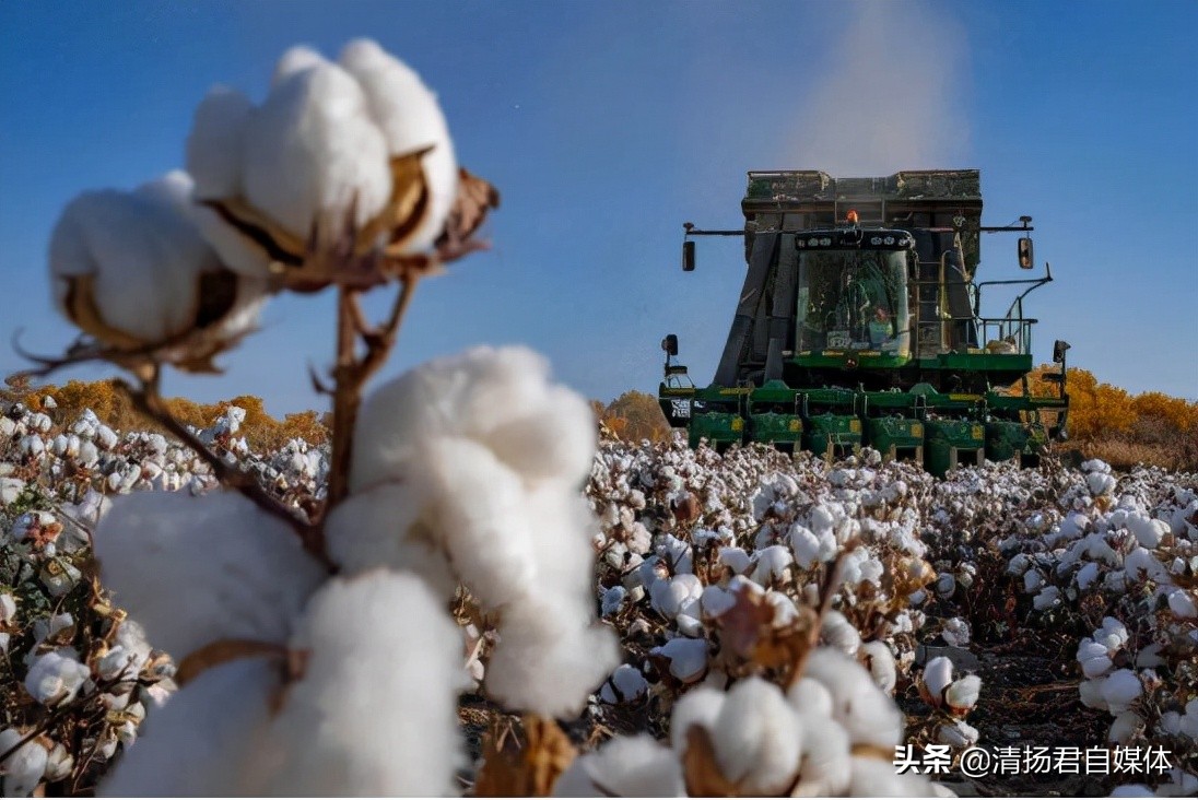 力挺中国造 支持新疆棉