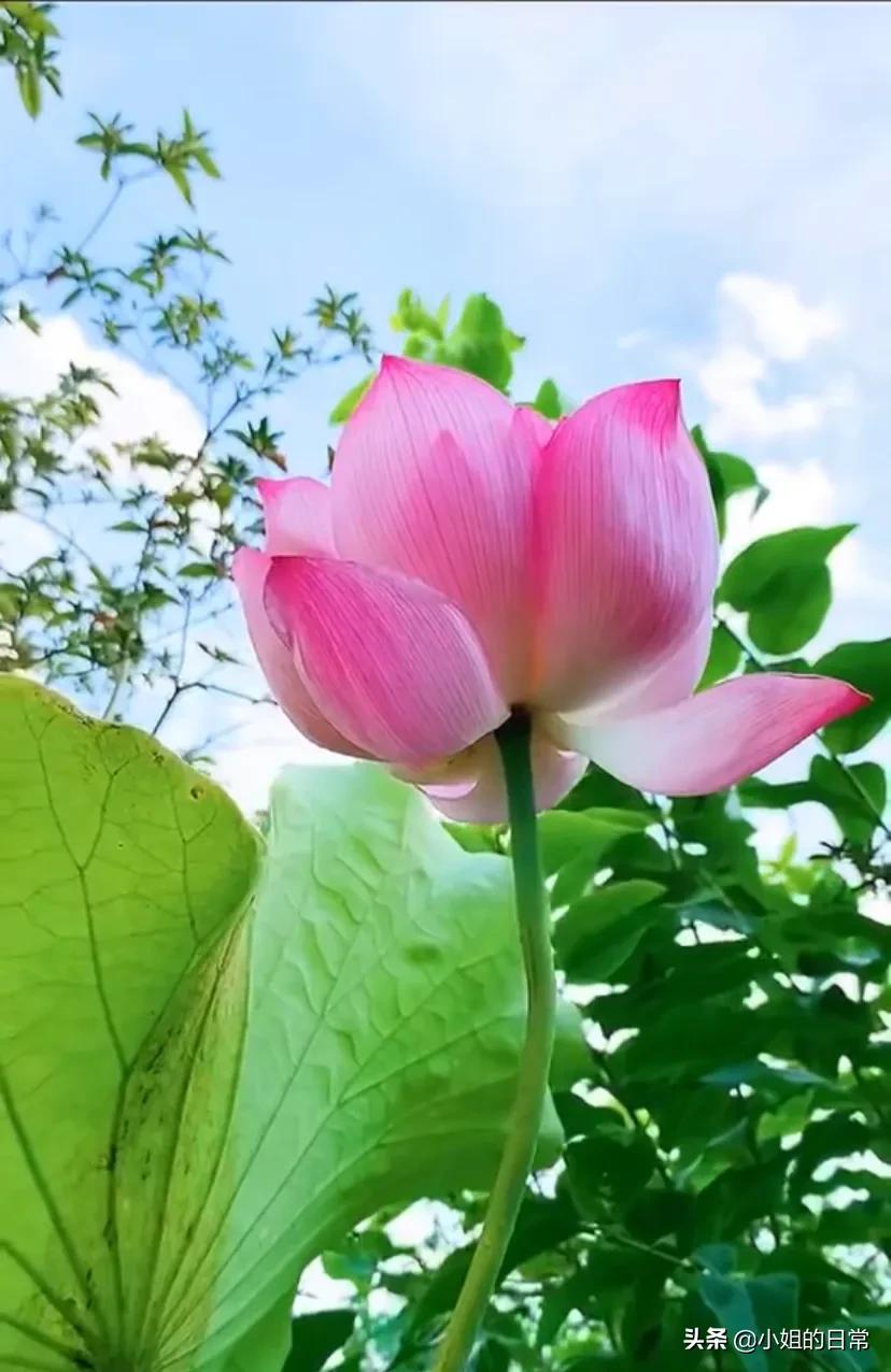 新手怎么运营自媒体