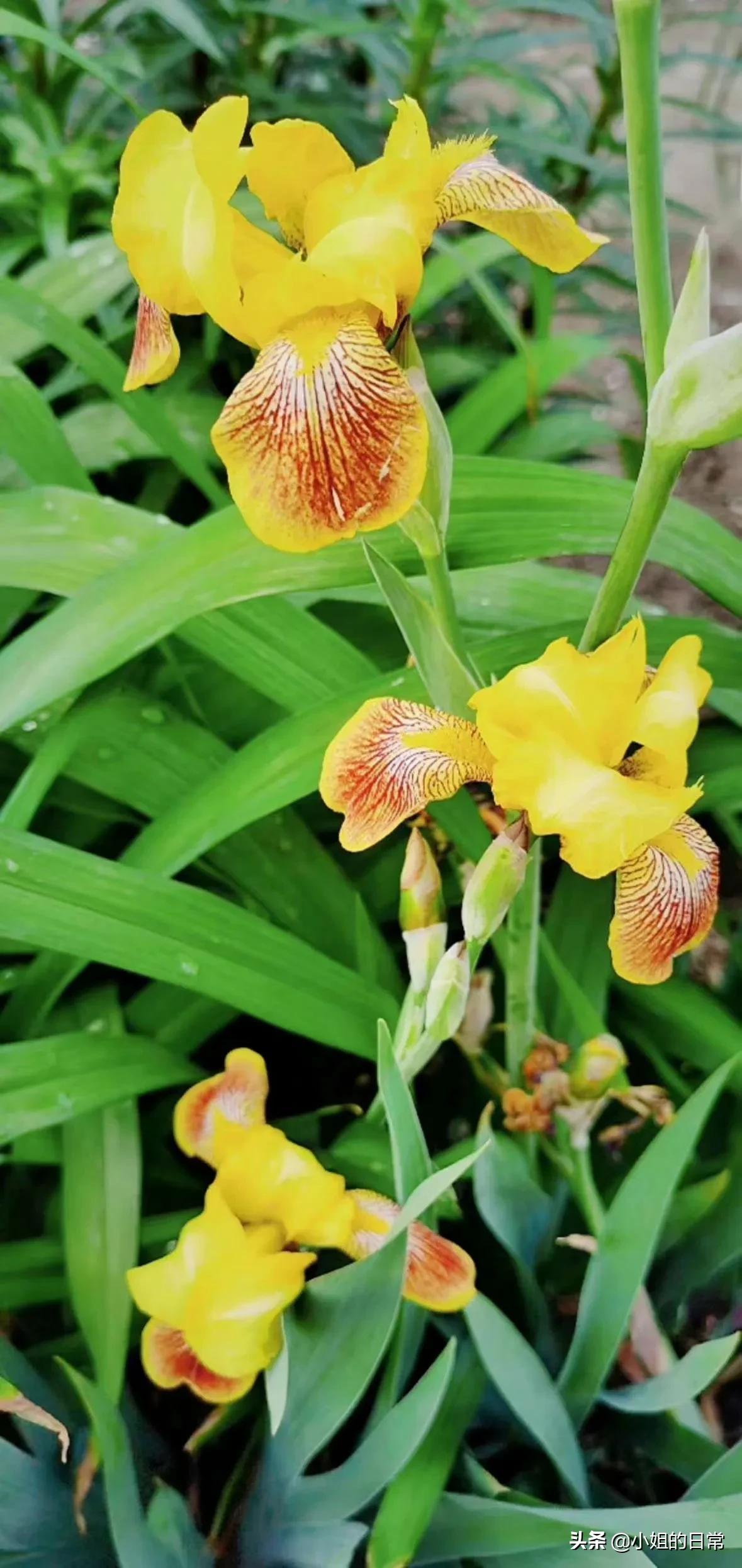 新手怎么运营自媒体